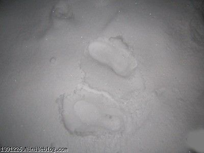 رد پای جا مانده در برف