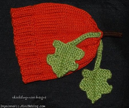 کلاه نوزاد Crocheted با گوش و دکوراسیون زیبا