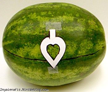 آموزش تصویری گام به گام تزیین هندوانه به شکل سبد زیبا با دسته ای از طرح قلب پر از میوه در ادامه مطلب...