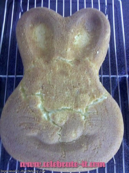   آموزش تزیین کیک خرگوشی Easter Bunny Cake My bunny cake cracked