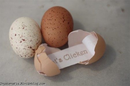 پیامی درون تخم مرغ!