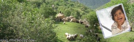 روستای نوین به میهمانی کاک کامران