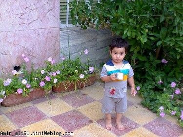1 سال و 8 ماه