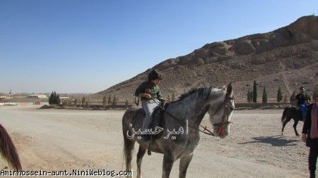 امیرحسین - کوه ریگ - استان یزد