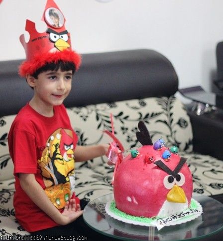 جشن تولد 6 سالگی امیرمحمد با تم انگری بردز