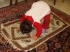 ایشالله همیشه اینطور علاقمند به نماز باشی