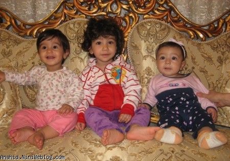 آناهید، ژینا، آوا آناهید، ژینا، آوا