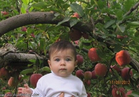 آیلین در باغ سیب