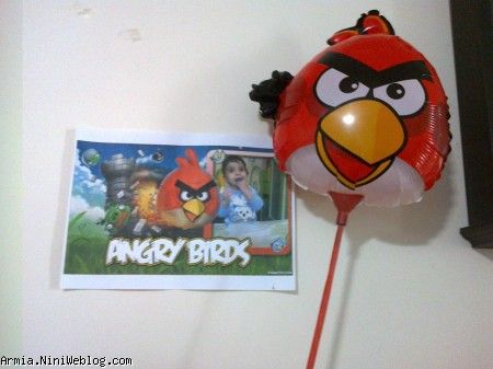 angry bird party