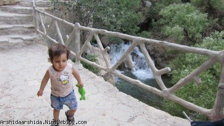 آرشیدا در آبشار مارگون