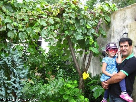 آترینا و بابایی