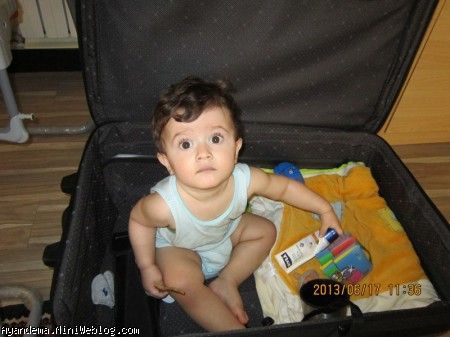 سانیار در چمدان