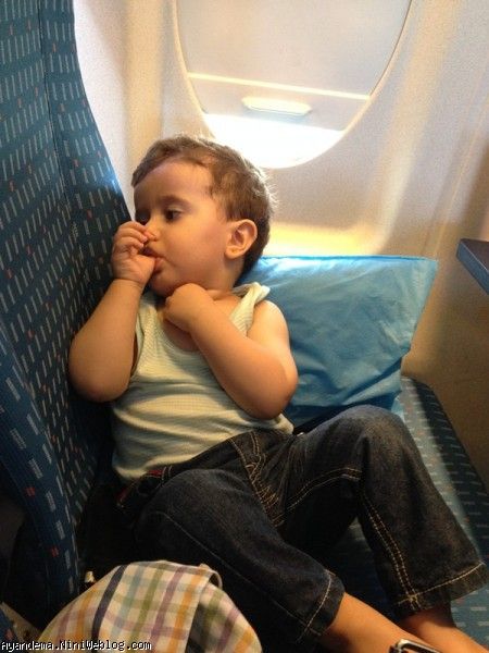 سانیار خواب آلود در هواپیما
