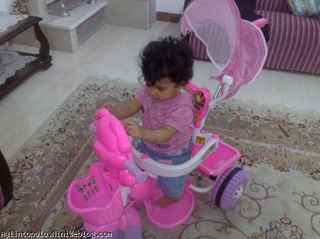 سه چرخه