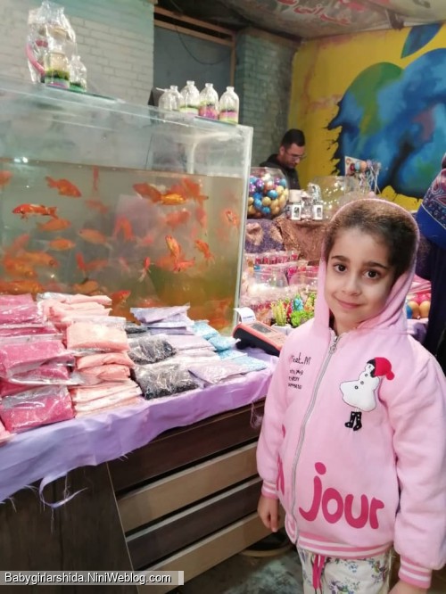 🌸نرم نرمک میرسد اینک بهار🌸