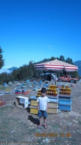 عرفان و زنبور در توسكستان