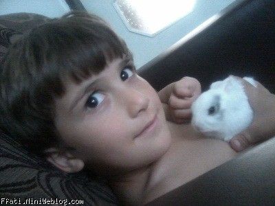 علی و شیدا(خرگوش)