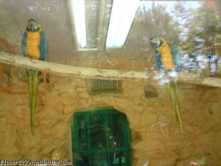 باغ پرندگان اصفهان