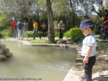 مهبد در حال تماشاي ماهي ها در باغ ارم 