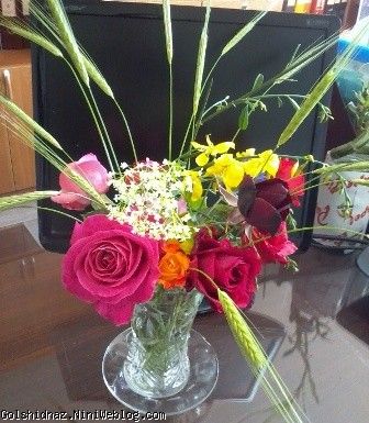 اين گل ها هم تقديم به بازديد كنندگان وبلاگ