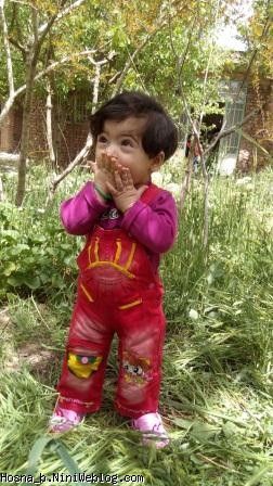 حسنا در باغچه