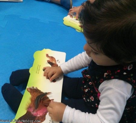 حسنا و کتاب حیوانات