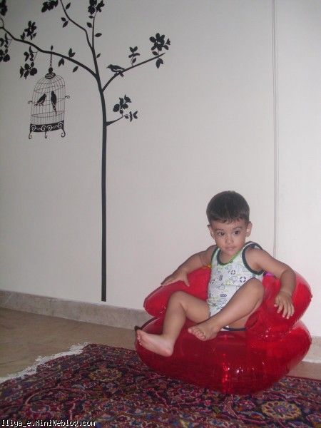 ایلیا ایلیا