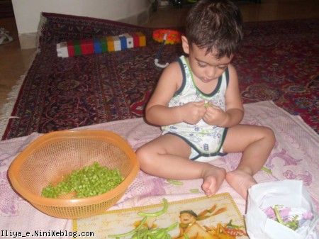 ایلیا ایلیا