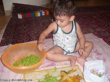 ایلیا ایلیا