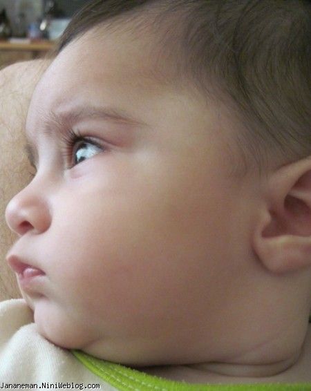 هفته سوم 5 ماهگی