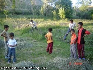 مشاركت بچه ها در كار كشاورزي روستا
