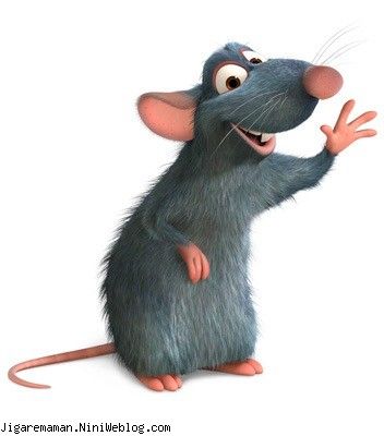موش دانا