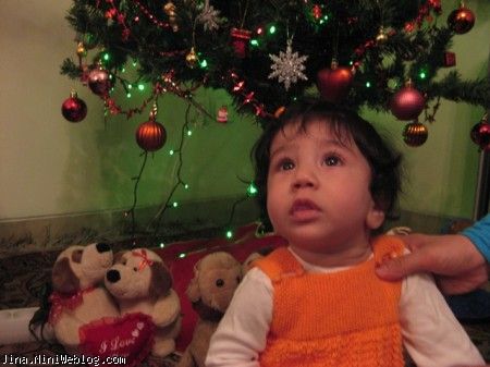 ژنیا با درخت کریسمس