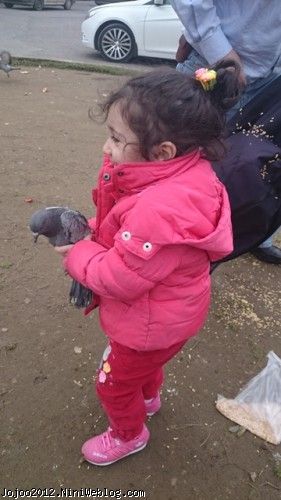 غذا دادن ویانا به کبوترها