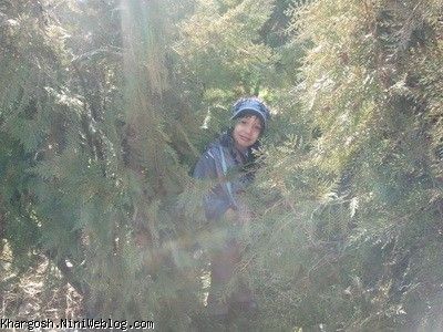 قایم موشک قایم موشک