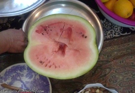 هندونه يلدايي