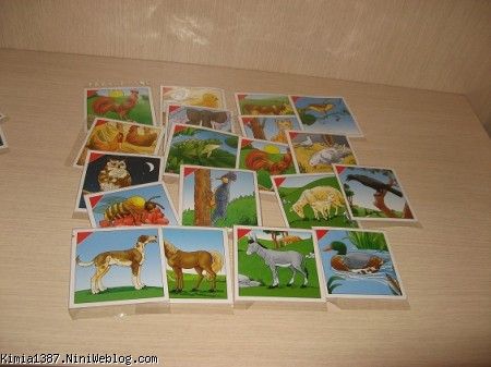 فلش کارتهای حیوانات