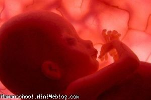 حرکات جنین در رحم مادر 