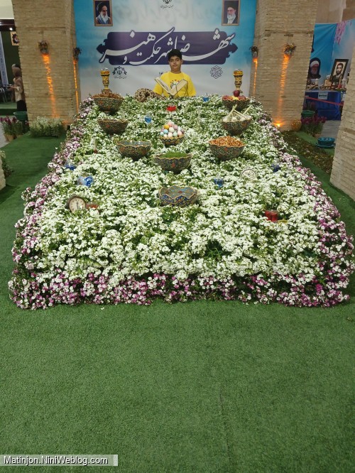 گاه شمار زندگی(یازده سال و پنج ماهگی)