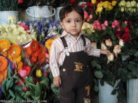 مهران در گل فروشی