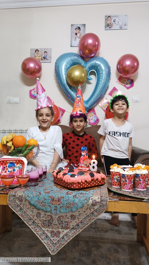جشن تولد 8 سالگی مهرسا جان