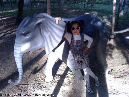 باغ وحش سنگی (فیل 9