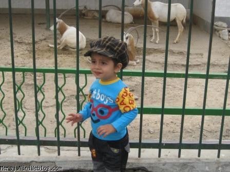 باغ و وحش باغ و وحش
