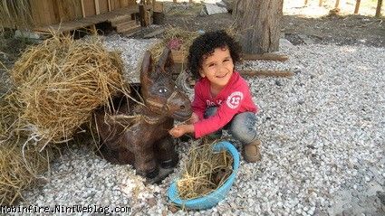 خر خوب بخور مبین