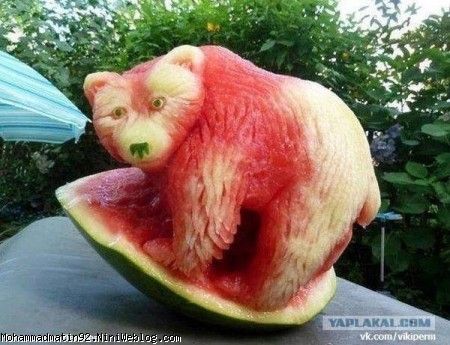 خرس هندوانه اي 