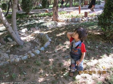 باغ ایرانی