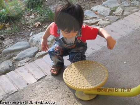 باغ ایرانی