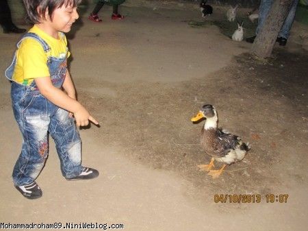 zoo