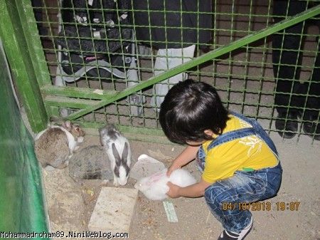 zoo