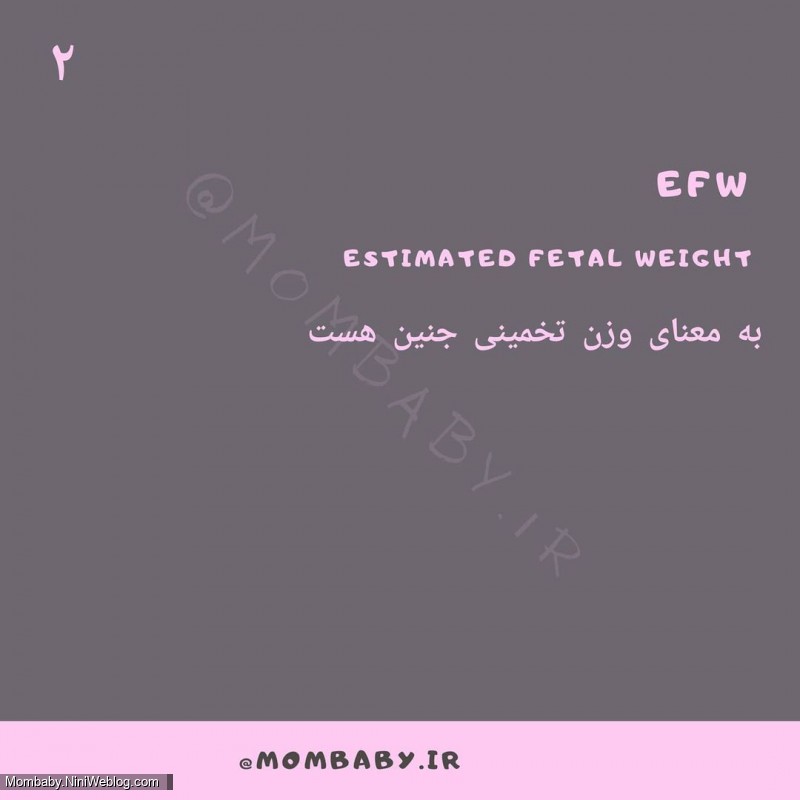 اصطلاحات سونوگرافی در بارداری (EFW)